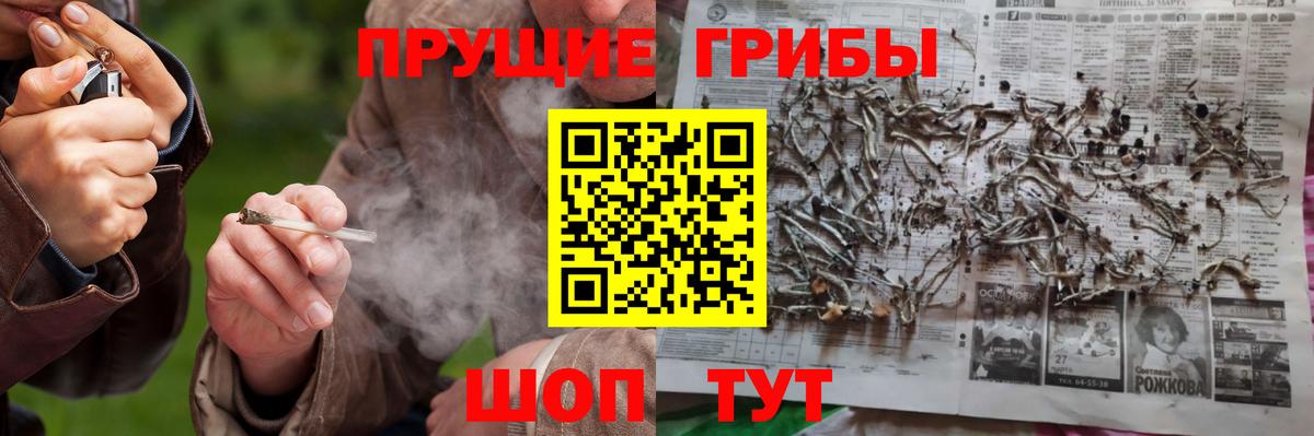 Псилоцибиновые грибы Psilocybine cubensis  Вход с VPN  Еманжелинск 